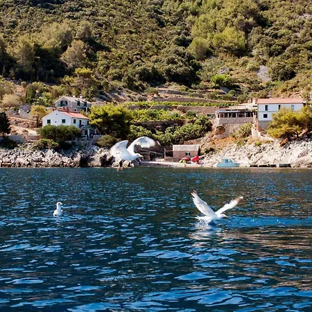 Σπίτι διακοπών Robinson Ane Gdinj