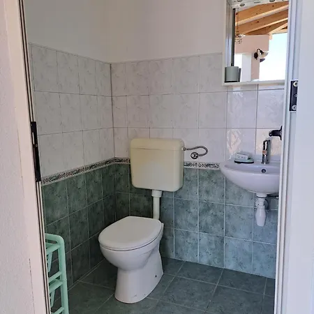 Robinson Ane Vikendica